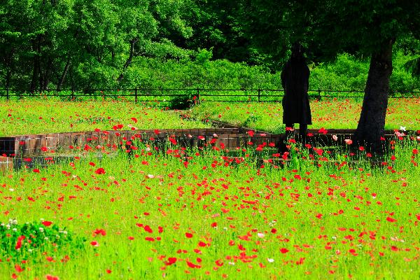 記事画像 「.宮沢賢治とEバイクでめぐるイーハトーブ聖地巡礼――花巻・盛岡・雫石を走る文学ツーリングガイド」