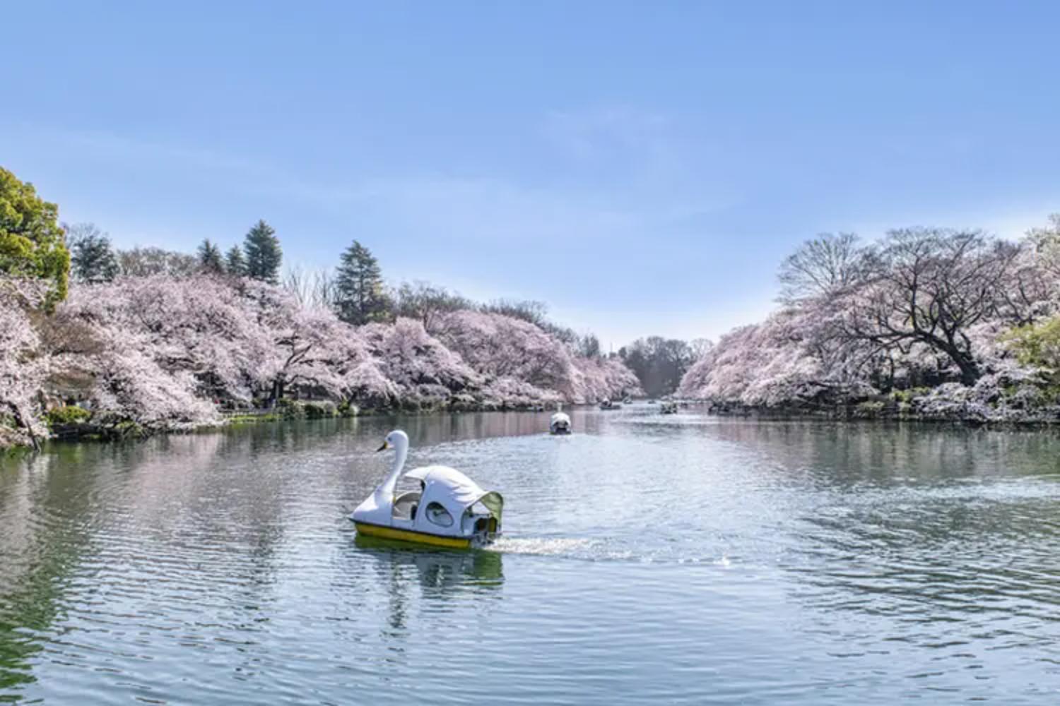 記事画像 「パーソナルモビリティで巡る：話題作とジブリに浸る井の頭・三鷹・高円寺極上聖地ツーリング！」