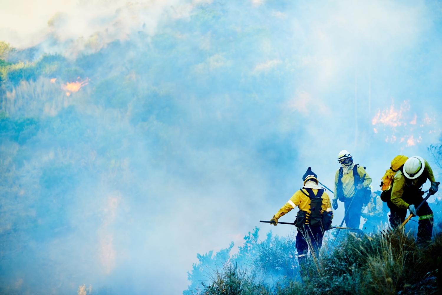 記事画像 「山道も走れる、人が乗れるライオン型ロボット「CORLEO（コルレオ）」とは？」