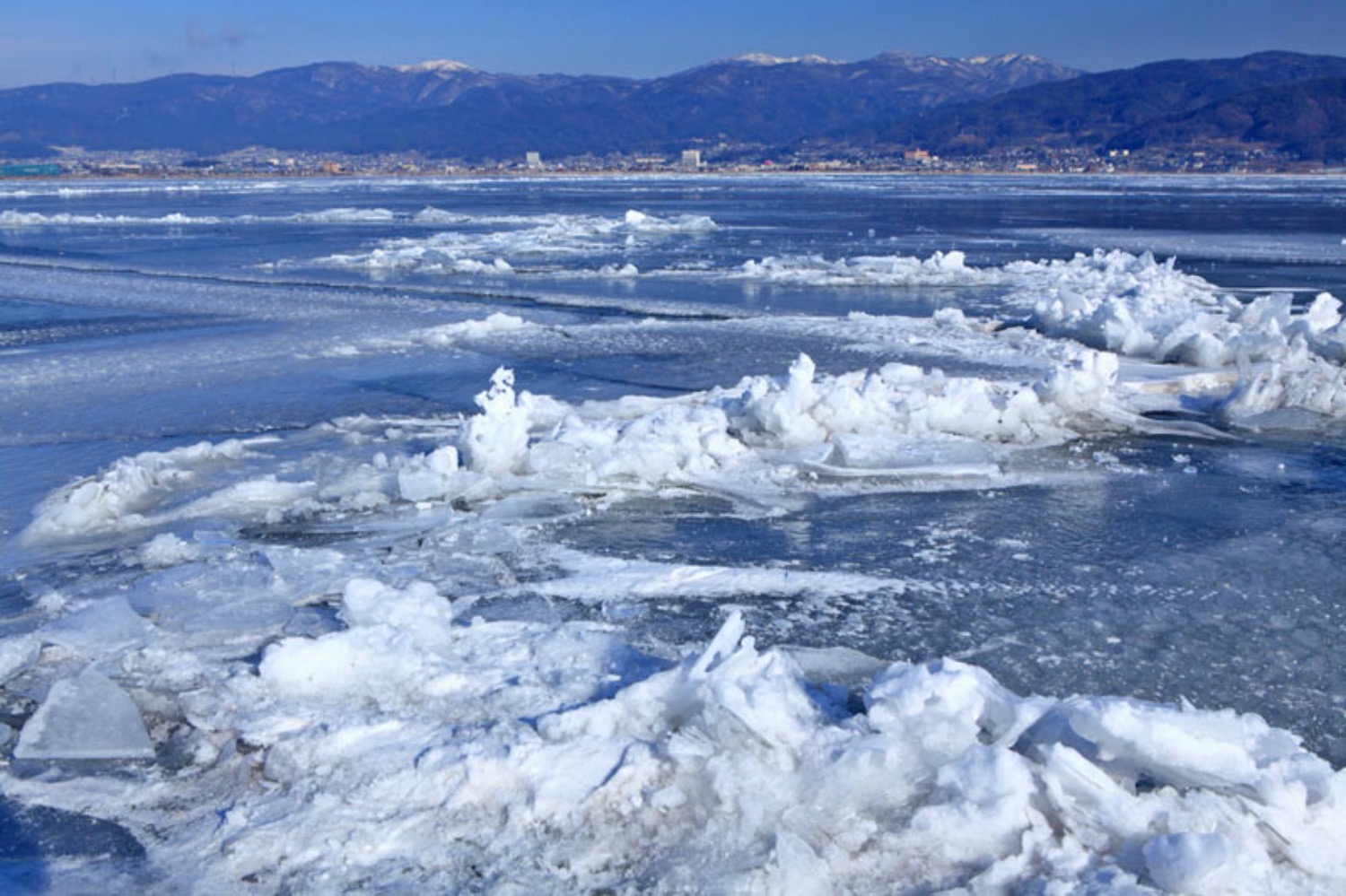 記事画像 「【荒ぶる神の聖地】諏訪大社「本殿なき信仰」と「御柱祭」が伝える生命更新の神秘：パーソナルモビリティで巡る四社」