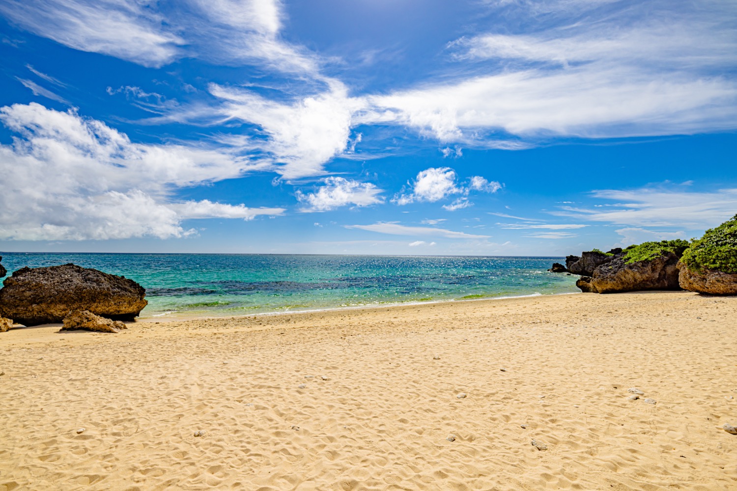 記事画像 「買い物難民の解消に。高齢者を支える移動販売車の取り組みとは？」