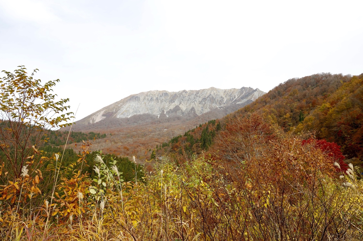 記事画像 「買い物難民の解消に。高齢者を支える移動販売車の取り組みとは？」